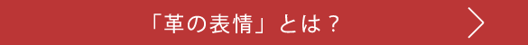 革の表情とは?